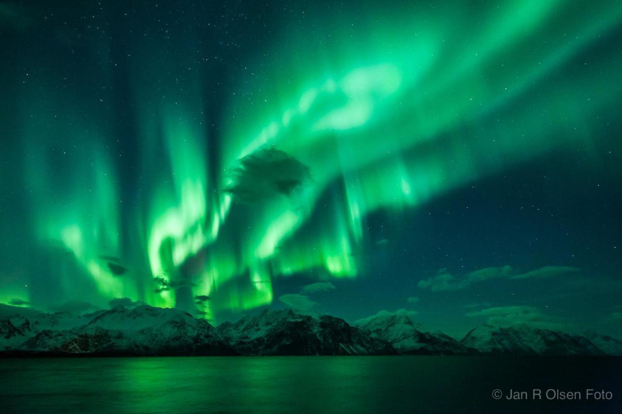Lyngenfjord,Odins Hus Apartment Olderdalen Luaran gambar