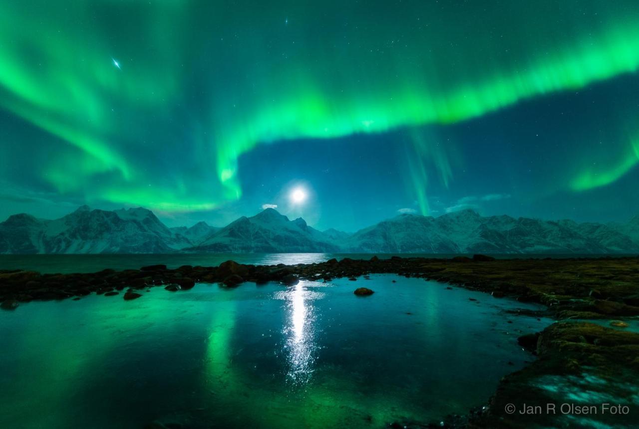Lyngenfjord,Odins Hus Apartment Olderdalen Luaran gambar