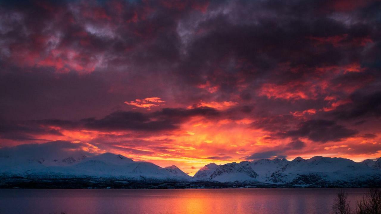 Lyngenfjord,Odins Hus Apartment Olderdalen Luaran gambar