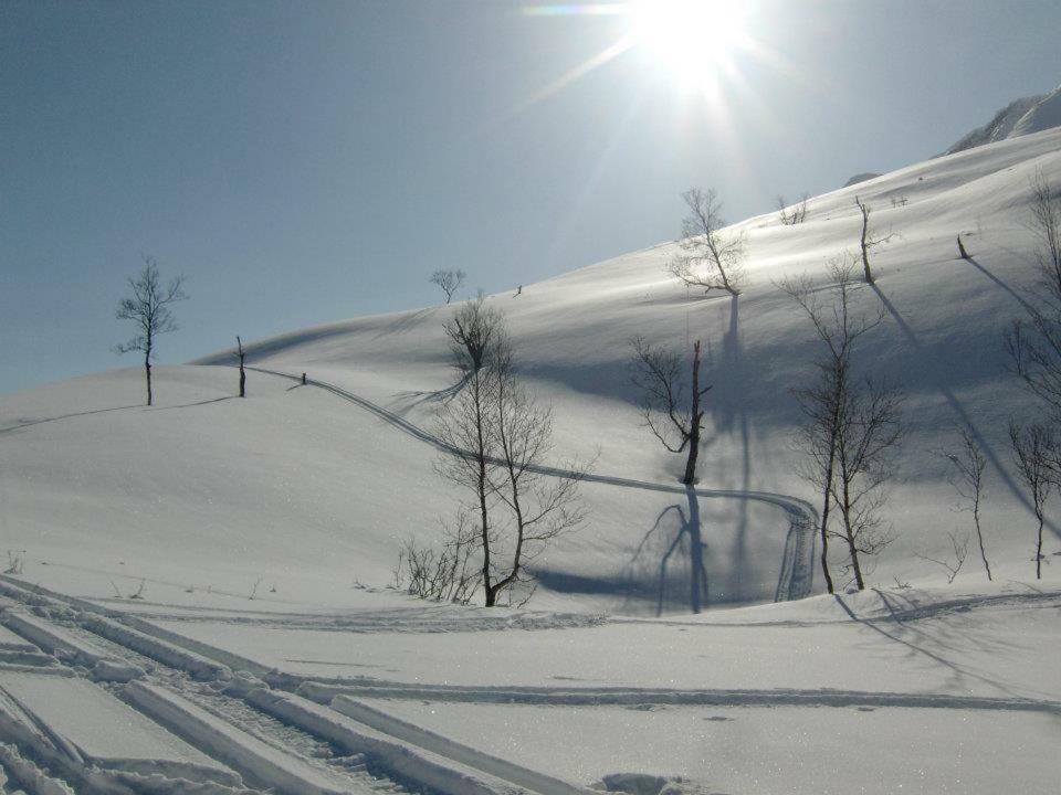 Lyngenfjord,Odins Hus Apartment Olderdalen Luaran gambar