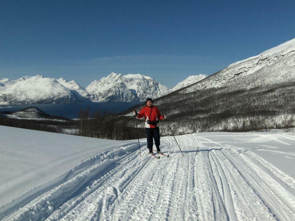 Lyngenfjord,Odins Hus Apartment Olderdalen Luaran gambar